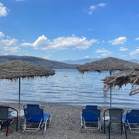 Galaxidi Authentic Rooftop House Εξωτερικό φωτογραφία